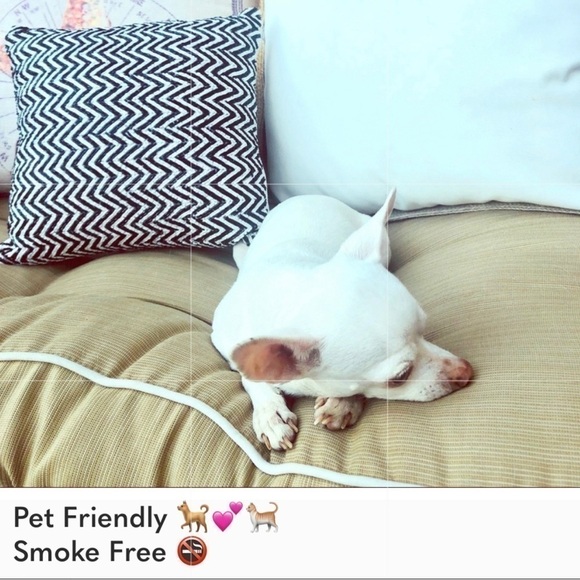 💝 Slim Broken in Boyfriend jeans - floral embroidery - Picture 5 of 7